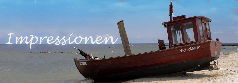 Impressionen Strand Ort Umgebung Natur in Zinnowitz und auf der Insel Usedom